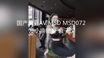 国产麻豆AV MSD MSD072 发小换错身 袁子仪