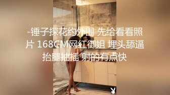 -锤子探花约外围 先给看看照片 168CM网红御姐 埋头舔逼抬腿抽插 射的有点快