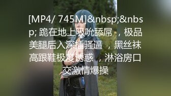 [MP4/ 745M]&nbsp;&nbsp; 跪在地上吸吮舔屌 ，极品美腿后入深插骚逼 ，黑丝袜高跟鞋极度诱惑 ，淋浴房口交激情爆操