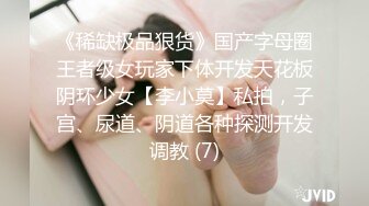 《稀缺极品狠货》国产字母圈王者级女玩家下体开发天花板阴环少女【李小莫】私拍，子宫、尿道、阴道各种探测开发调教 (7)