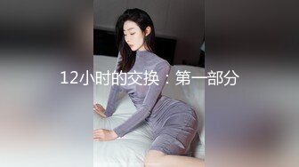 12小时的交换：第一部分