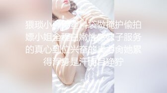 猥琐小胖用塑料袋做掩护偸拍嫖小姐全程白嫩性感妹子服务的真心到位兴奋的卖力肏她累得浑身是汗面目狰狞