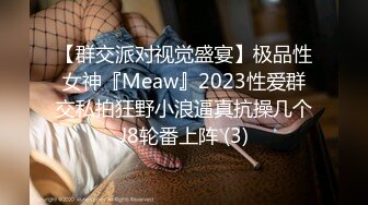 【群交派对视觉盛宴】极品性女神『Meaw』2023性爱群交私拍狂野小浪逼真抗操几个J8轮番上阵 (3)