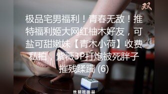 极品宅男福利！青春无敌！推特福利姬大网红柚木好友，可盐可甜嫩妹【青木小荷】收费私拍，紫薇3P打炮被死胖子摧残蹂躏 (6)