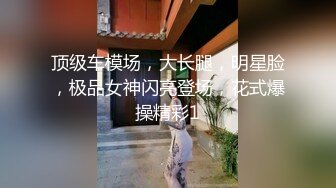 顶级车模场，大长腿，明星脸，极品女神闪亮登场，花式爆操精彩1