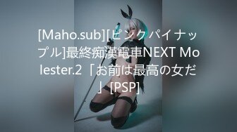 [Maho.sub][ピンクパイナップル]最終痴漢電車NEXT Molester.2「お前は最高の女だ」[PSP]