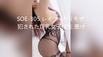 SOE-305 レイプ×ギリモザ 犯された巨乳女子校生 恵けい