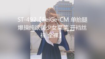 ST-492【FeiGe-CM 单抬腿爆操纯欲美少女菜菜 开裆丝袜 全裸】