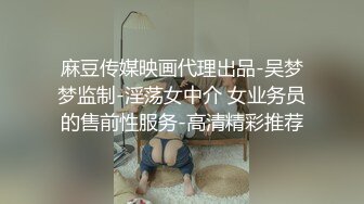 麻豆传媒映画代理出品-吴梦梦监制-淫荡女中介 女业务员的售前性服务-高清精彩推荐