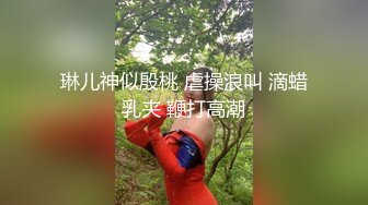 琳儿神似殷桃 虐操浪叫 滴蜡乳夹 鞭打高潮