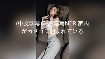 (中文字幕)熱烈淫写NTR 家内がカメコに囲まれている