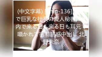 (中文字幕) [hmn-136] 美人で巨乳な社長の愛人秘書に社内で来る日も来る日も耳元で囁かれて密着誘惑中出し 北野未奈