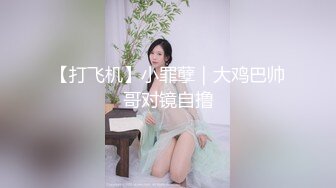 【打飞机】小罪孽｜大鸡巴帅哥对镜自撸