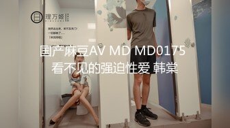 国产麻豆AV MD MD0175 看不见的强迫性爱 韩棠