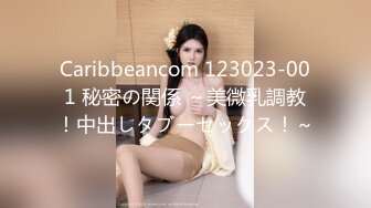 Caribbeancom 123023-001 秘密の関係 ～美微乳調教！中出しタブーセックス！～