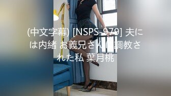 (中文字幕) [NSPS-979] 夫には内緒 お義兄さんに調教された私 葉月桃